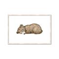 Picture of Baby grizzly bear I _GroupedProduct_Rectangle_Landscape_Mini_ _GroupedProduct_Rectangle_Landscape_Framed_Matted_
