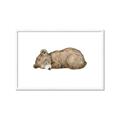 Picture of Baby grizzly bear I _GroupedProduct_Rectangle_Landscape_Mini_ _GroupedProduct_Rectangle_Landscape_Framed_Matted_