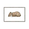 Picture of Baby grizzly bear I _GroupedProduct_Rectangle_Landscape_Mini_ _GroupedProduct_Rectangle_Landscape_Framed_Matted_
