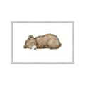 Picture of Baby grizzly bear I _GroupedProduct_Rectangle_Landscape_Mini_ _GroupedProduct_Rectangle_Landscape_Framed_Matted_