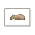 Picture of Baby grizzly bear I _GroupedProduct_Rectangle_Landscape_Mini_ _GroupedProduct_Rectangle_Landscape_Framed_Matted_