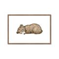 Picture of Baby grizzly bear I _GroupedProduct_Rectangle_Landscape_Mini_ _GroupedProduct_Rectangle_Landscape_Framed_Matted_