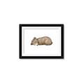 Picture of Baby grizzly bear I _GroupedProduct_Rectangle_Landscape_Mini_ _GroupedProduct_Rectangle_Landscape_Framed_Matted_