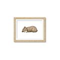 Picture of Baby grizzly bear I _GroupedProduct_Rectangle_Landscape_Mini_ _GroupedProduct_Rectangle_Landscape_Framed_Matted_