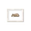 Picture of Baby grizzly bear I _GroupedProduct_Rectangle_Landscape_Mini_ _GroupedProduct_Rectangle_Landscape_Framed_Matted_