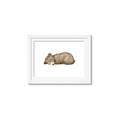 Picture of Baby grizzly bear I _GroupedProduct_Rectangle_Landscape_Mini_ _GroupedProduct_Rectangle_Landscape_Framed_Matted_