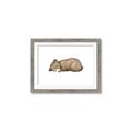 Picture of Baby grizzly bear I _GroupedProduct_Rectangle_Landscape_Mini_ _GroupedProduct_Rectangle_Landscape_Framed_Matted_