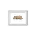 Picture of Baby grizzly bear I _GroupedProduct_Rectangle_Landscape_Mini_ _GroupedProduct_Rectangle_Landscape_Framed_Matted_