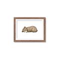 Picture of Baby grizzly bear I _GroupedProduct_Rectangle_Landscape_Mini_ _GroupedProduct_Rectangle_Landscape_Framed_Matted_