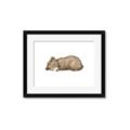 Picture of Baby grizzly bear I _GroupedProduct_Rectangle_Landscape_Mini_ _GroupedProduct_Rectangle_Landscape_Framed_Matted_