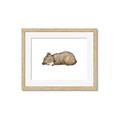 Picture of Baby grizzly bear I _GroupedProduct_Rectangle_Landscape_Mini_ _GroupedProduct_Rectangle_Landscape_Framed_Matted_