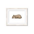 Picture of Baby grizzly bear I _GroupedProduct_Rectangle_Landscape_Mini_ _GroupedProduct_Rectangle_Landscape_Framed_Matted_