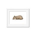 Picture of Baby grizzly bear I _GroupedProduct_Rectangle_Landscape_Mini_ _GroupedProduct_Rectangle_Landscape_Framed_Matted_