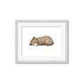Picture of Baby grizzly bear I _GroupedProduct_Rectangle_Landscape_Mini_ _GroupedProduct_Rectangle_Landscape_Framed_Matted_