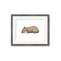 Picture of Baby grizzly bear I _GroupedProduct_Rectangle_Landscape_Mini_ _GroupedProduct_Rectangle_Landscape_Framed_Matted_