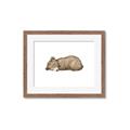 Picture of Baby grizzly bear I _GroupedProduct_Rectangle_Landscape_Mini_ _GroupedProduct_Rectangle_Landscape_Framed_Matted_
