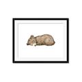 Picture of Baby grizzly bear I _GroupedProduct_Rectangle_Landscape_Mini_ _GroupedProduct_Rectangle_Landscape_Framed_Matted_