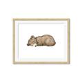 Picture of Baby grizzly bear I _GroupedProduct_Rectangle_Landscape_Mini_ _GroupedProduct_Rectangle_Landscape_Framed_Matted_