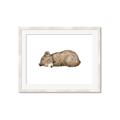 Picture of Baby grizzly bear I _GroupedProduct_Rectangle_Landscape_Mini_ _GroupedProduct_Rectangle_Landscape_Framed_Matted_