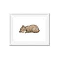 Picture of Baby grizzly bear I _GroupedProduct_Rectangle_Landscape_Mini_ _GroupedProduct_Rectangle_Landscape_Framed_Matted_