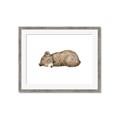 Picture of Baby grizzly bear I _GroupedProduct_Rectangle_Landscape_Mini_ _GroupedProduct_Rectangle_Landscape_Framed_Matted_