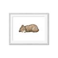 Picture of Baby grizzly bear I _GroupedProduct_Rectangle_Landscape_Mini_ _GroupedProduct_Rectangle_Landscape_Framed_Matted_