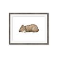 Picture of Baby grizzly bear I _GroupedProduct_Rectangle_Landscape_Mini_ _GroupedProduct_Rectangle_Landscape_Framed_Matted_
