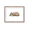 Picture of Baby grizzly bear I _GroupedProduct_Rectangle_Landscape_Mini_ _GroupedProduct_Rectangle_Landscape_Framed_Matted_