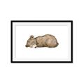 Picture of Baby grizzly bear I _GroupedProduct_Rectangle_Landscape_Mini_ _GroupedProduct_Rectangle_Landscape_Framed_Matted_