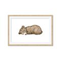 Picture of Baby grizzly bear I _GroupedProduct_Rectangle_Landscape_Mini_ _GroupedProduct_Rectangle_Landscape_Framed_Matted_