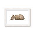 Picture of Baby grizzly bear I _GroupedProduct_Rectangle_Landscape_Mini_ _GroupedProduct_Rectangle_Landscape_Framed_Matted_
