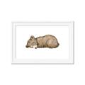 Picture of Baby grizzly bear I _GroupedProduct_Rectangle_Landscape_Mini_ _GroupedProduct_Rectangle_Landscape_Framed_Matted_