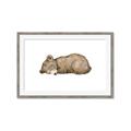 Picture of Baby grizzly bear I _GroupedProduct_Rectangle_Landscape_Mini_ _GroupedProduct_Rectangle_Landscape_Framed_Matted_
