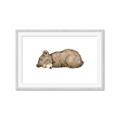 Picture of Baby grizzly bear I _GroupedProduct_Rectangle_Landscape_Mini_ _GroupedProduct_Rectangle_Landscape_Framed_Matted_