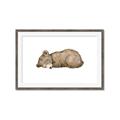 Picture of Baby grizzly bear I _GroupedProduct_Rectangle_Landscape_Mini_ _GroupedProduct_Rectangle_Landscape_Framed_Matted_