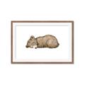 Picture of Baby grizzly bear I _GroupedProduct_Rectangle_Landscape_Mini_ _GroupedProduct_Rectangle_Landscape_Framed_Matted_