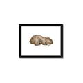 Picture of Baby grizzly bear II _GroupedProduct_Rectangle_Landscape_Mini_ _GroupedProduct_Rectangle_Landscape_Framed_Matted_