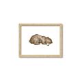 Picture of Baby grizzly bear II _GroupedProduct_Rectangle_Landscape_Mini_ _GroupedProduct_Rectangle_Landscape_Framed_Matted_