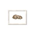 Picture of Baby grizzly bear II _GroupedProduct_Rectangle_Landscape_Mini_ _GroupedProduct_Rectangle_Landscape_Framed_Matted_