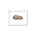 Picture of Baby grizzly bear II _GroupedProduct_Rectangle_Landscape_Mini_ _GroupedProduct_Rectangle_Landscape_Framed_Matted_