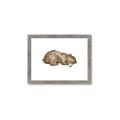 Picture of Baby grizzly bear II _GroupedProduct_Rectangle_Landscape_Mini_ _GroupedProduct_Rectangle_Landscape_Framed_Matted_