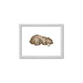 Picture of Baby grizzly bear II _GroupedProduct_Rectangle_Landscape_Mini_ _GroupedProduct_Rectangle_Landscape_Framed_Matted_