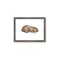 Picture of Baby grizzly bear II _GroupedProduct_Rectangle_Landscape_Mini_ _GroupedProduct_Rectangle_Landscape_Framed_Matted_