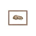 Picture of Baby grizzly bear II _GroupedProduct_Rectangle_Landscape_Mini_ _GroupedProduct_Rectangle_Landscape_Framed_Matted_