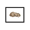 Picture of Baby grizzly bear II _GroupedProduct_Rectangle_Landscape_Mini_ _GroupedProduct_Rectangle_Landscape_Framed_Matted_