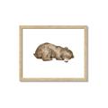 Picture of Baby grizzly bear II _GroupedProduct_Rectangle_Landscape_Mini_ _GroupedProduct_Rectangle_Landscape_Framed_Matted_