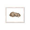 Picture of Baby grizzly bear II _GroupedProduct_Rectangle_Landscape_Mini_ _GroupedProduct_Rectangle_Landscape_Framed_Matted_