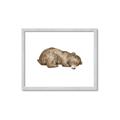 Picture of Baby grizzly bear II _GroupedProduct_Rectangle_Landscape_Mini_ _GroupedProduct_Rectangle_Landscape_Framed_Matted_