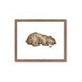 Picture of Baby grizzly bear II _GroupedProduct_Rectangle_Landscape_Mini_ _GroupedProduct_Rectangle_Landscape_Framed_Matted_