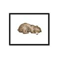 Picture of Baby grizzly bear II _GroupedProduct_Rectangle_Landscape_Mini_ _GroupedProduct_Rectangle_Landscape_Framed_Matted_